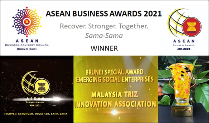 ТРИЗ в АСЕАН